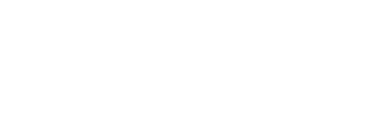 Logo PrevX bianco
